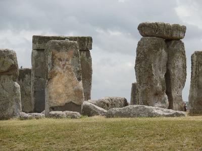 stonehengecat